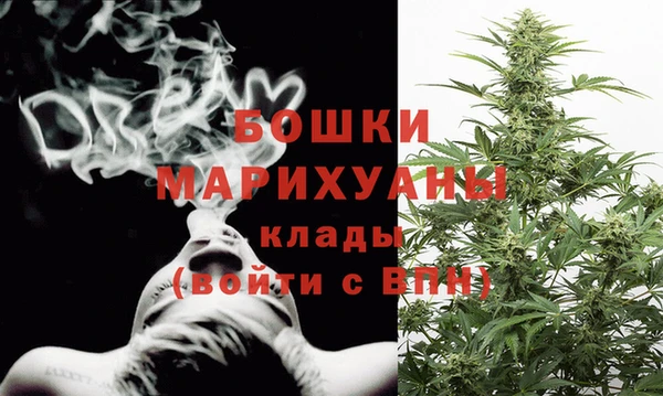 гашик Кодинск