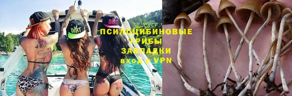 гашик Кодинск