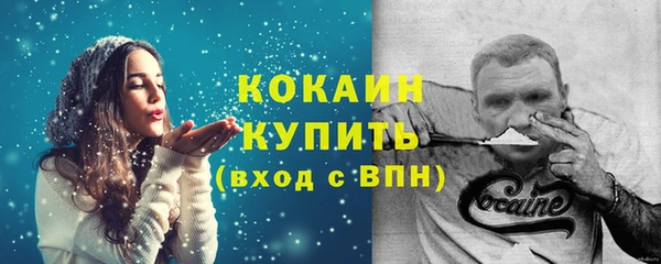 гашик Кодинск