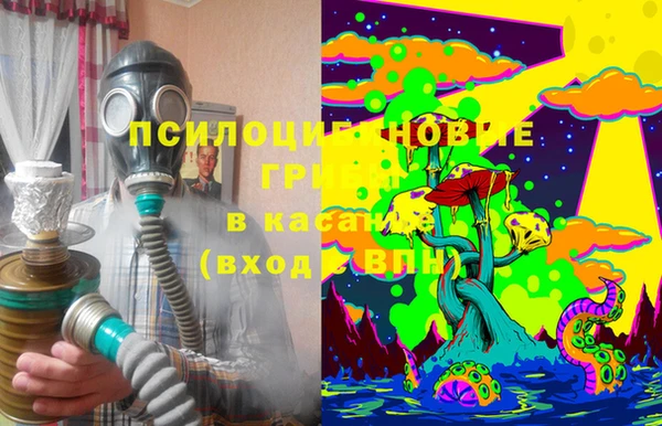 гашик Кодинск