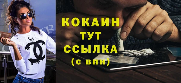 твердый Козловка