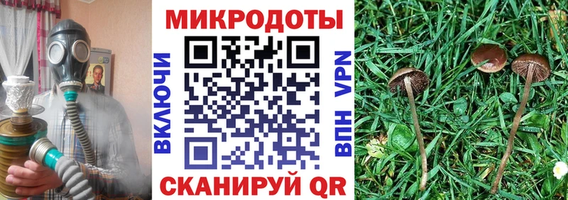 Галлюциногенные грибы Cubensis  Купить где  Морозовск 